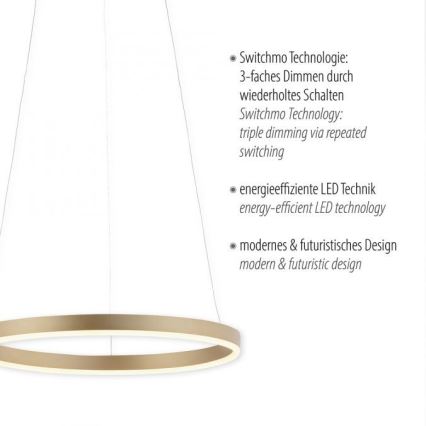 Leuchten Direkt 15393-60 - LED Stmívatelný lustr na lanku RITUS LED/20W/230V