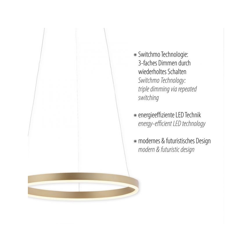 Leuchten Direkt 15393-60 - LED Stmívatelný lustr na lanku RITUS LED/20W/230V