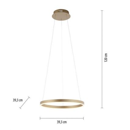 Leuchten Direkt 15393-60 - LED Stmívatelný lustr na lanku RITUS LED/20W/230V