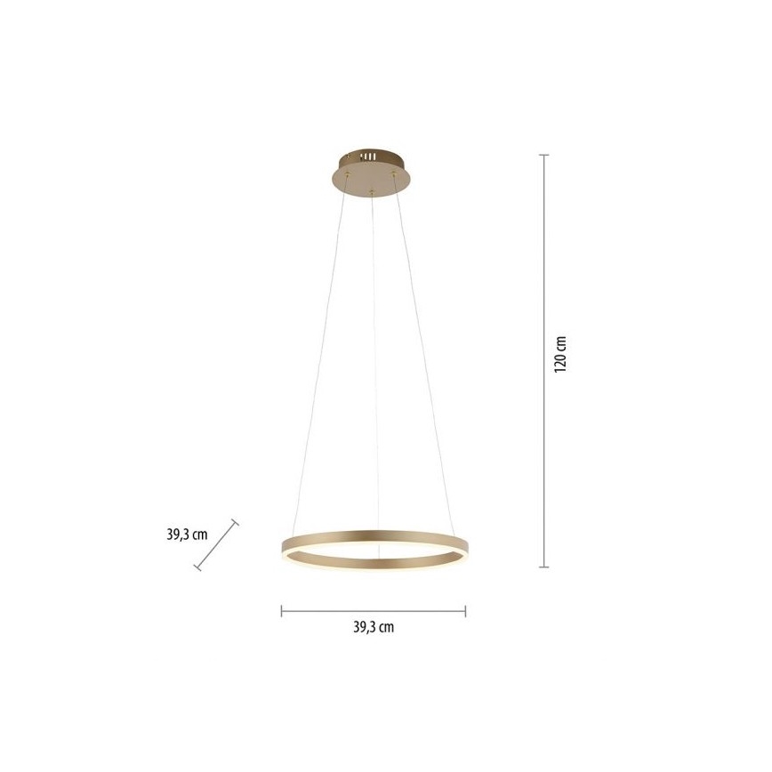 Leuchten Direkt 15393-60 - LED Stmívatelný lustr na lanku RITUS LED/20W/230V