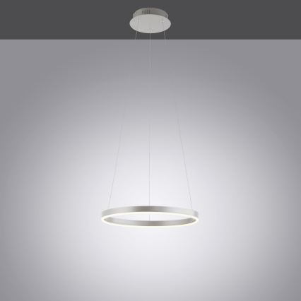 Leuchten Direkt 15393-95 - LED Stmívatelný lustr na lanku RITUS LED/20W/230V matný chrom