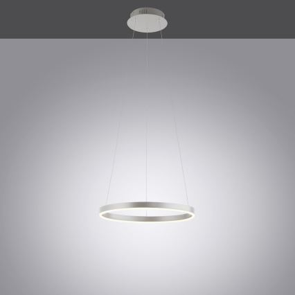 Leuchten Direkt 15393-95 - LED Stmívatelný lustr na lanku RITUS LED/20W/230V chrom