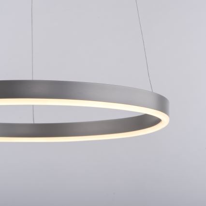 Leuchten Direkt 15393-95 - LED Stmívatelný lustr na lanku RITUS LED/20W/230V matný chrom