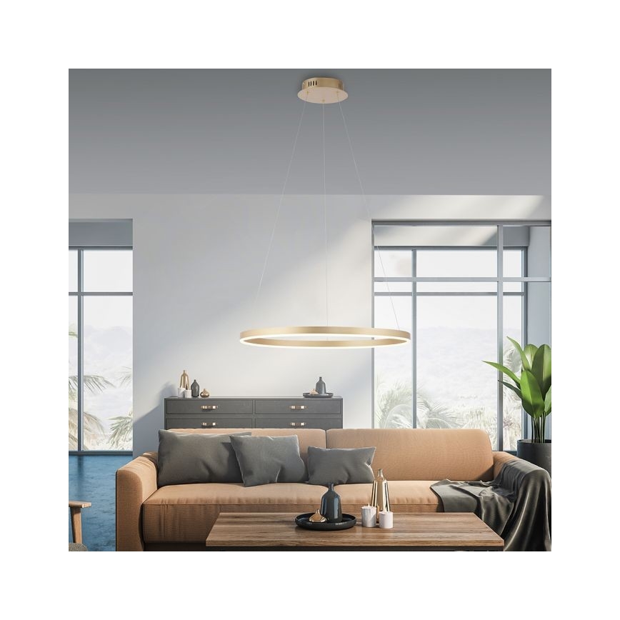 Leuchten Direkt 15394-60 - LED Stmívatelný lustr na lanku RITUS LED/30W/230V mosaz
