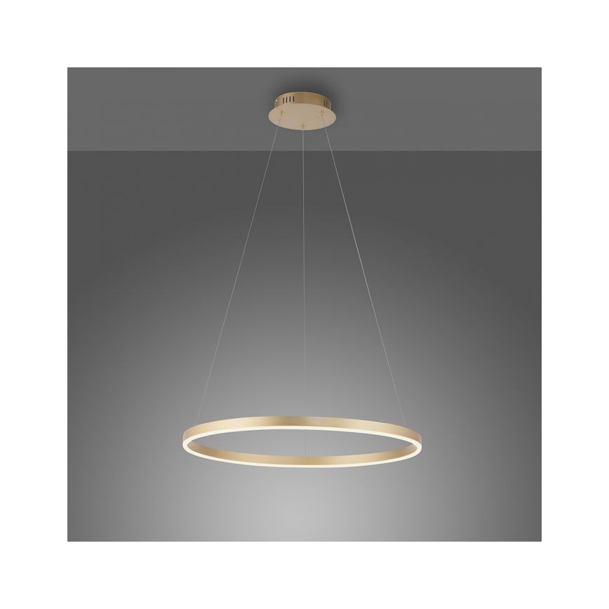 Leuchten Direkt 15394-60 - LED Stmívatelný lustr na lanku RITUS LED/30W/230V mosaz