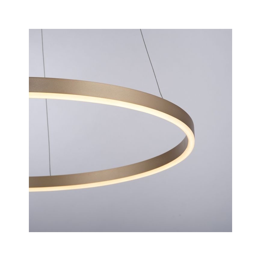 Leuchten Direkt 15394-60 - LED Stmívatelný lustr na lanku RITUS LED/30W/230V mosaz