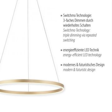 Leuchten Direkt 15394-60 - LED Stmívatelný lustr na lanku RITUS LED/30W/230V mosaz