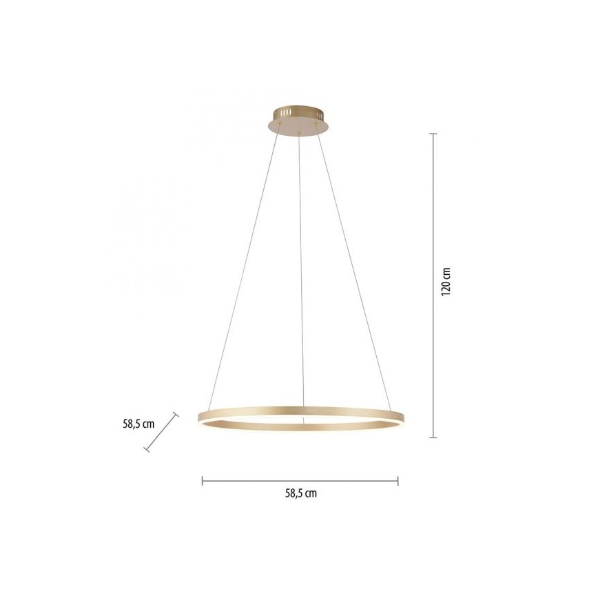 Leuchten Direkt 15394-60 - LED Stmívatelný lustr na lanku RITUS LED/30W/230V mosaz