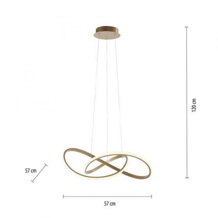 Leuchten Direkt 15402-60 - LED Stmívatelný lustr na lanku MARIA LED/25W/230V