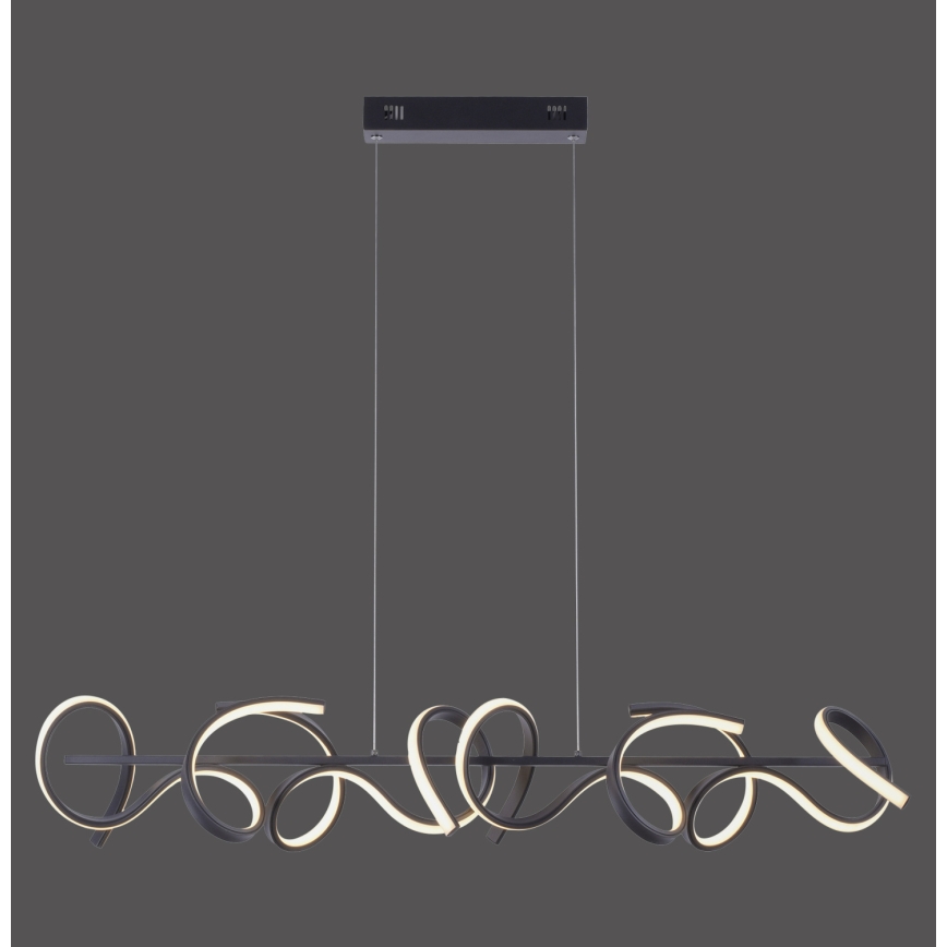 Leuchten Direkt 19033-18 - LED Stmívatelný lustr na lanku CURLS 4xLED/10,2W/230V