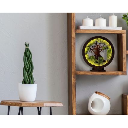 Li-Go 23604/DUB2 - LED Stmívatelná stolní dekorace LED/12W/230V 20x22 cm dub/Mech a strom