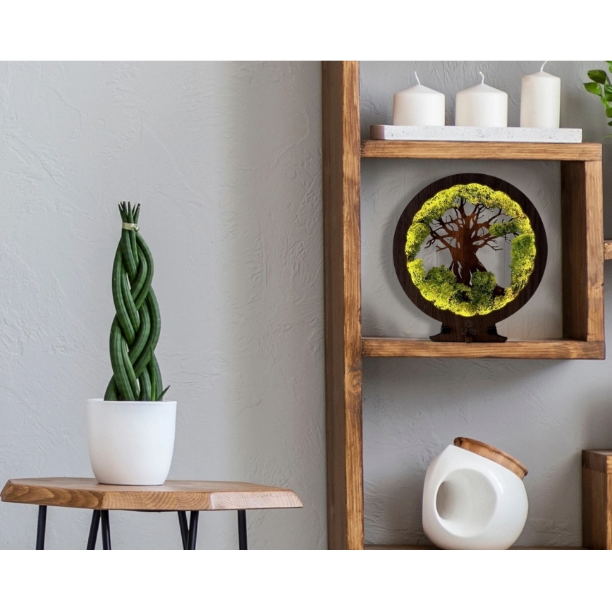 Li-Go 23631/DUB2 - LED Stmívatelná stolní dekorace LED/12W/230V 30x31 cm dub/Mech a strom