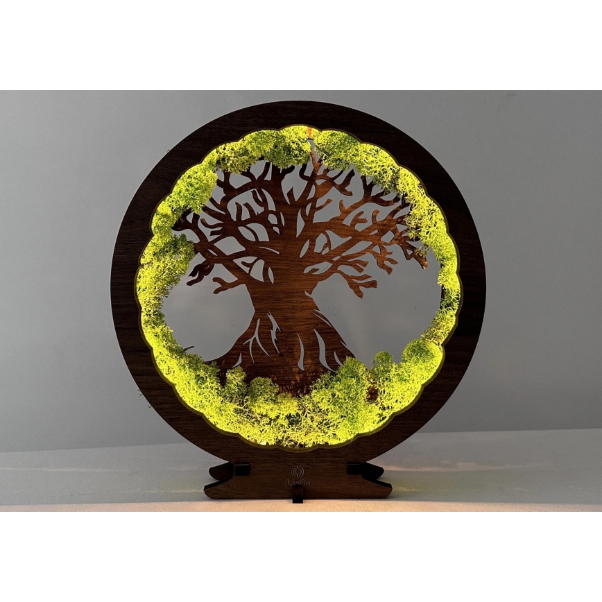 Li-Go 23631/DUB2 - LED Stmívatelná stolní dekorace LED/12W/230V 30x31 cm dub/Mech a strom