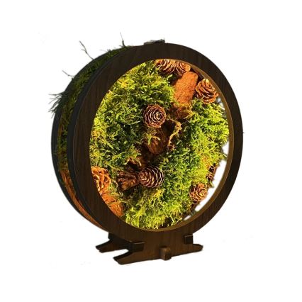 Li-Go 23654 - LED Stmívatelná stolní dekorace LED/12W/230V 20x22 cm ořech/Mechové zátiší