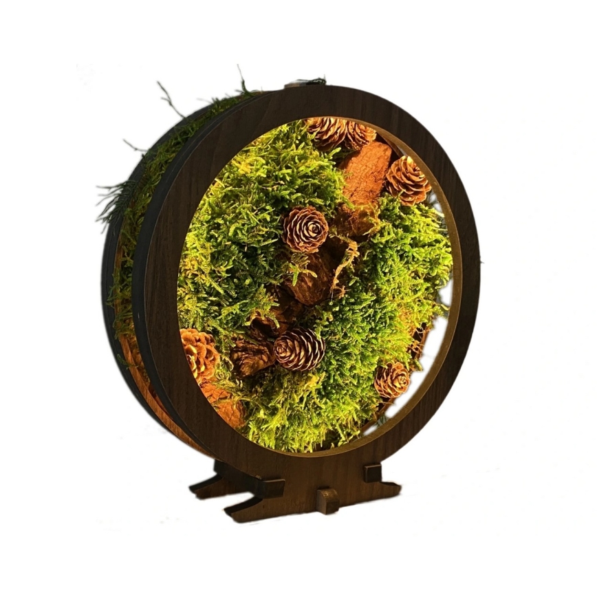 Li-Go 23654 - LED Stmívatelná stolní dekorace LED/12W/230V 20x22 cm ořech/Mechové zátiší