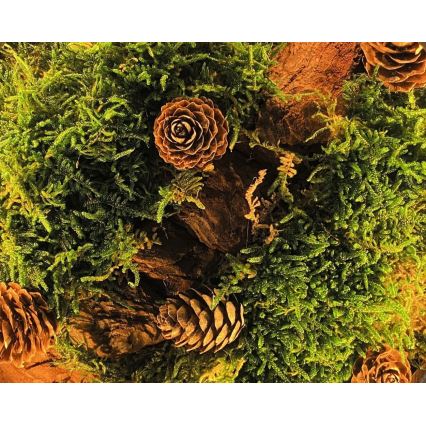 Li-Go 23654 - LED Stmívatelná stolní dekorace LED/12W/230V 20x22 cm ořech/Mechové zátiší