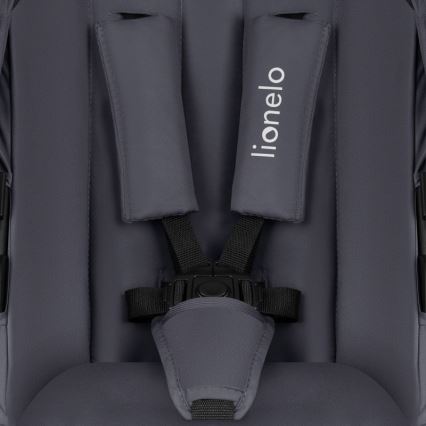 Lionelo - Kombinovaný kočárek 3v1 AMBER PLUS grey Graphite