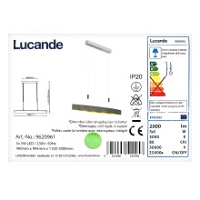 Lucande - LED Stmívatelný lustr na lanku LIO 5xLED/5W/230V