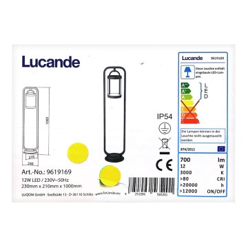Lucande - LED Venkovní lampa CAIUS LED/12W/230V IP54