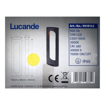 Lucande - LED Venkovní lampa FENTI LED/12W/230V IP65