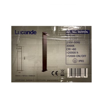 Lucande - LED Venkovní lampa SILVAN LED/12W/230V IP65