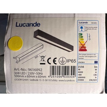 Lucande - LED Venkovní nástěnné svítidlo LENGO LED/36W/230V IP65