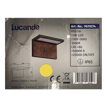 Lucande - LED Venkovní nástěnné svítidlo LIGNUS LED/12W/230V IP65