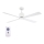 Lucci Air 210521 - Stropní ventilátor AIRFUSION CLIMATE dřevo/bílá pr. 132 cm + dálkové ovládání