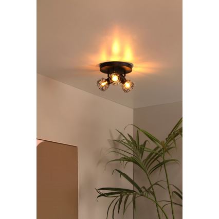 Lucide 00929/13/30 - Bodové svítidlo FILOX 3xE14/40W/230V