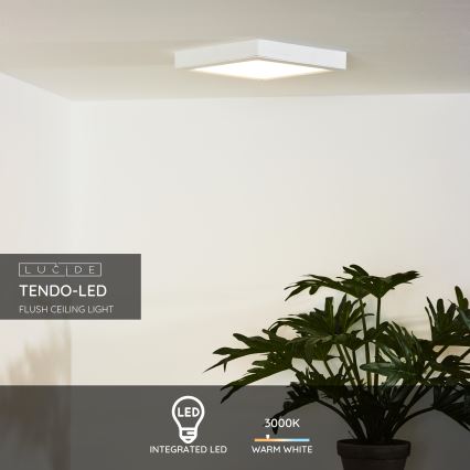 Lucide 07106/18/31 - Stropní svítidlo TENDO-LED LED/18W/230V