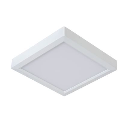 Lucide 07106/18/31 - Stropní svítidlo TENDO-LED LED/18W/230V