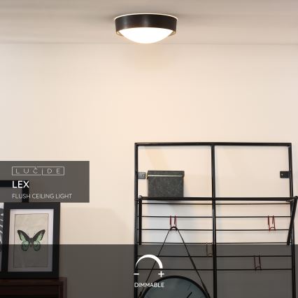 Lucide 08109/01/30 - Stropní svítidlo LEX 1xE27/9W/230V černá