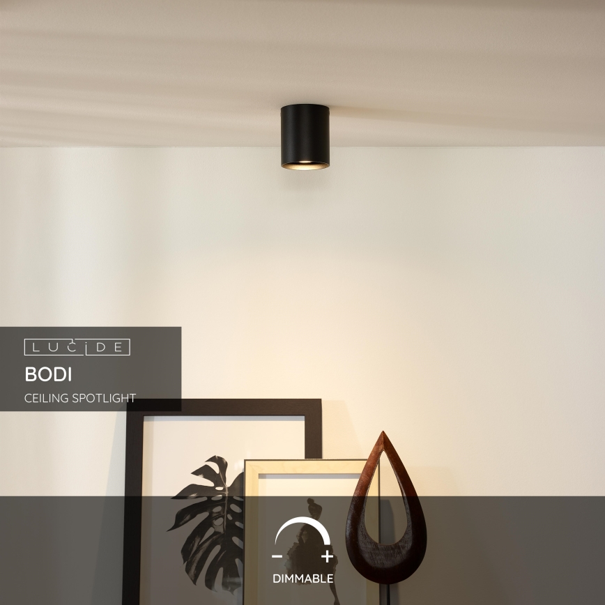 Lucide 09100/01/30 - Bodové svítidlo BODI 1xGU10/50W/230V