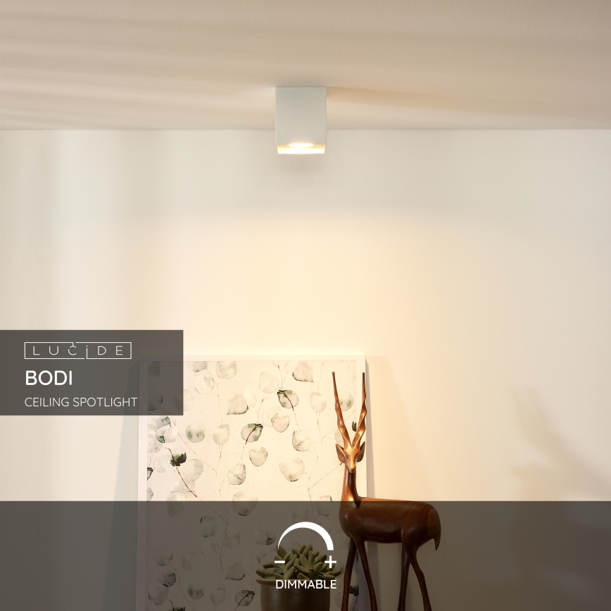 Lucide 09101/01/31 - Bodové svítidlo BODI 1xGU10/50W/230V