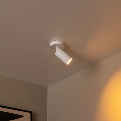 Lucide 09939/01/31 - Nástěnné bodové svítidlo CLUBS 1xGU10/40W/230V bílá