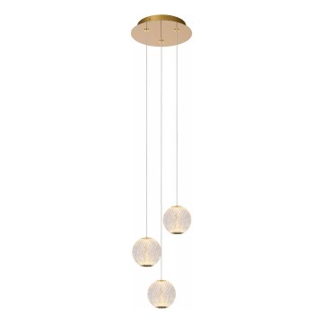 Lucide 13499/13/60 - LED Stmívatelný lustr na lanku CINTRA 3xLED/4,7W/230V zlatá