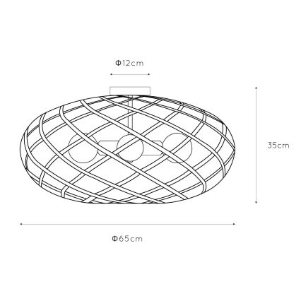 Lucide 21117/65/30 - Stropní svítidlo WOLFRAM 3xE27/60W/230V černá