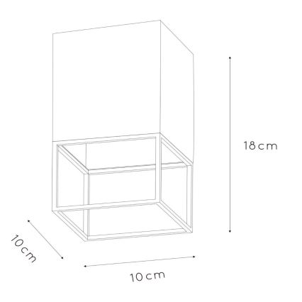 Lucide 21120/01/30 - Stropní svítidlo RIXT 1xE27/40W/230V