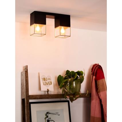 Lucide 21120/02/30 - Stropní svítidlo RIXT 2xE27/40W/230V černá