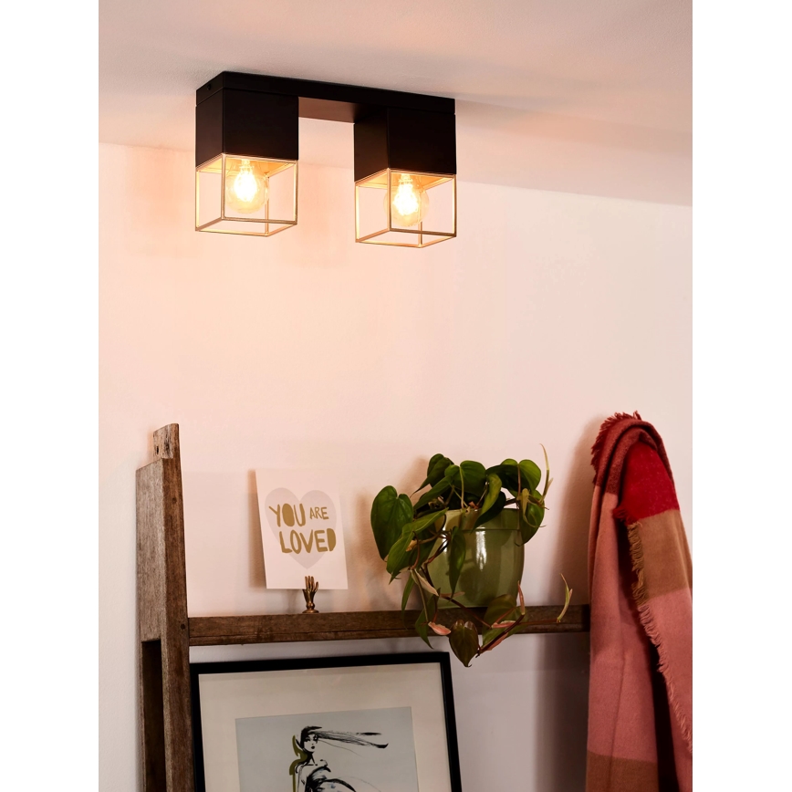 Lucide 21120/02/30 - Stropní svítidlo RIXT 2xE27/40W/230V černá