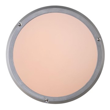 Lucide 22100/27/36 - Koupelnové stropní svítidlo FENNA 1xE27/60W/230V šedé IP44