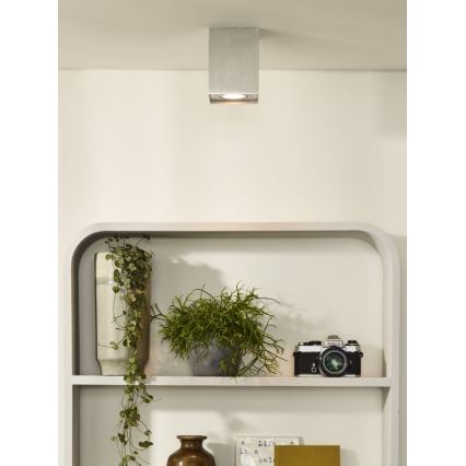 Lucide 22953/01/12 - Bodové svítidlo TUBE 1xGU10/42W/230V