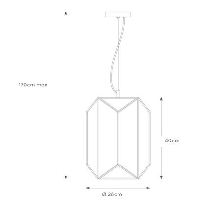 Lucide 25407/01/30 - Lustr na lanku FERN 1xE27/60W/230V