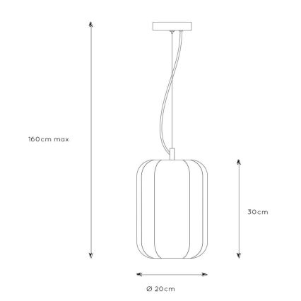 Lucide 25409/01/30 - Lustr na lanku FERN 1xE27/60W/230V