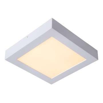 Lucide 28107/22/31 - LED Stmívatelné stropní svítidlo BRICE LED/22W/230V 22x22 cm