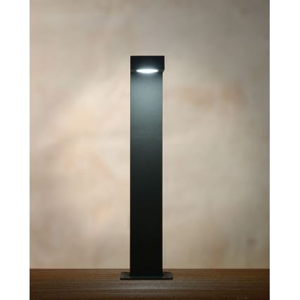 Lucide 28851/40/30 - LED venkovní lampa TEXAS LED/6W/230V černá 40 cm IP54