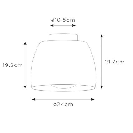 Lucide 30188/01/30 - Stropní svítidlo NOLAN 1xE27/60W/230V pr. 24 cm černá