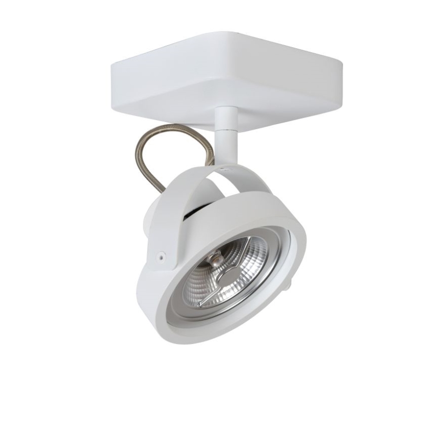 Lucide 31930/12/31 - LED Stmívatelné bodové svítidlo TALA LED 1xG53/12W/230V/12V