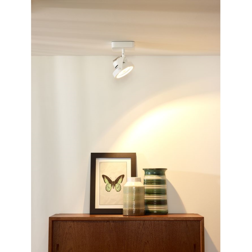 Lucide 31930/12/31 - LED Stmívatelné bodové svítidlo TALA LED 1xG53/12W/230V/12V