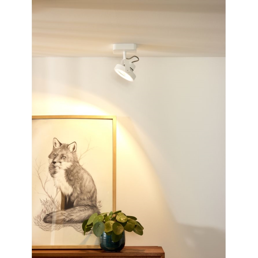 Lucide 31930/12/31 - LED Stmívatelné bodové svítidlo TALA LED 1xG53/12W/230V/12V